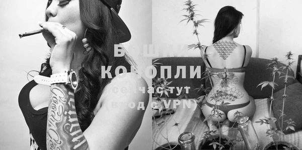каннабис Майский