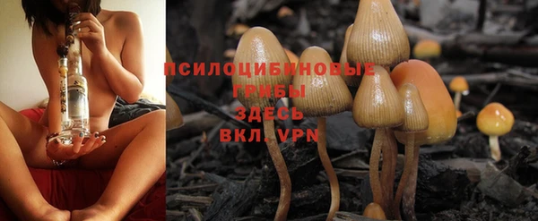 mdpv Магас
