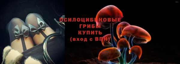 каннабис Майский