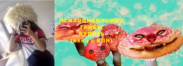 каннабис Майский