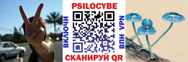 Купить закладки  Трубчевск  Псилоцибиновые грибы MAGIC MUSHROOMS 